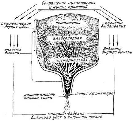 Szoptatás és vnutrivymennoe nyomáson Garkavy 1974 f