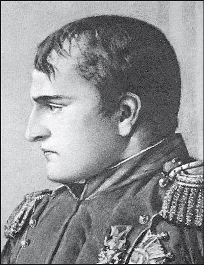 Napoleon diplomataként