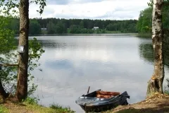 Масло за търговия, посредничество