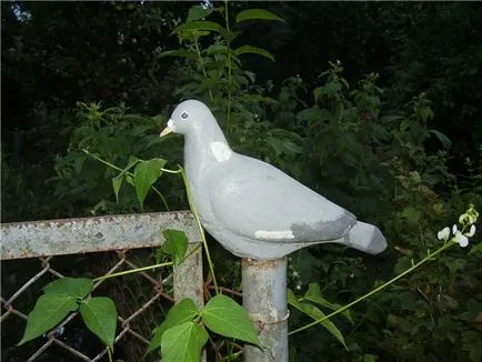 Obmany (Umplute) pentru vânătoare lemn porumbel