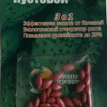 Semințe de castravete f1 Sremska Coated
