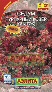 Sedum засаждане и грижи в открито поле, размножаване, отглеждане от семена