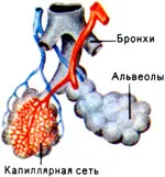 Breath - a klub támogatói az egészséges életmód