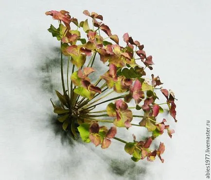Експерименти за установяване на съраунд хербарий, или как да се пазят непокътнати цветето