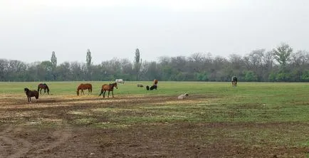 Khortytsya sziget vagy kozák utak