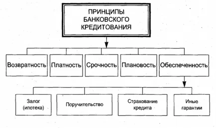 Основните принципи на кредит - техните видове, същност, функция