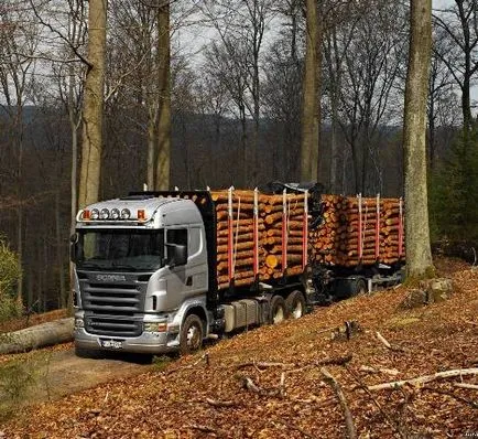 Jellemzői az erdő és a fa szállítása a vasúti és közúti