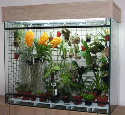 Orchid в аквариума