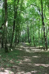 Parcul de Glory partizanilor, pistă de sănătate (15 km)