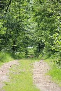 Parcul de Glory partizanilor, pistă de sănătate (15 km)