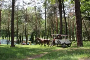 Parcul de Glory partizanilor, pistă de sănătate (15 km)