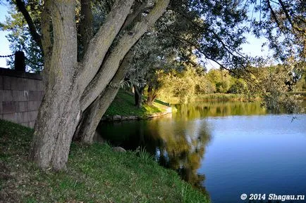 Parks Nesvizh Castle