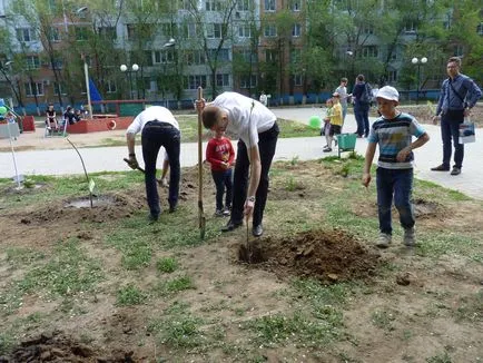 Ecologizarea orașul nostru împreună!