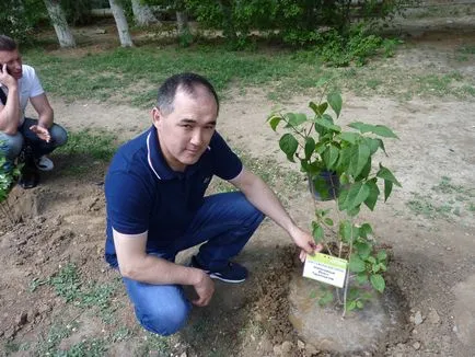 Ecologizarea orașul nostru împreună!