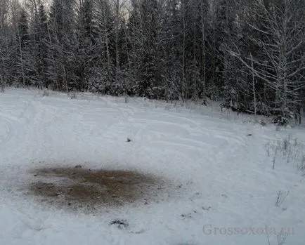 Ловуват глигани с засада