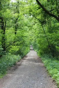 Parcul de Glory partizanilor, pistă de sănătate (15 km)