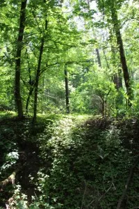 Parcul de Glory partizanilor, pistă de sănătate (15 km)