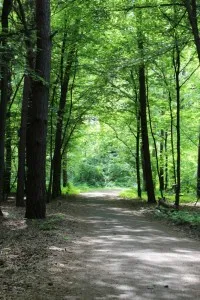 В парка на партизанското Слава, здравето пътека (15 км)