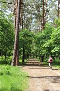 Parcul de Glory partizanilor, pistă de sănătate (15 km)