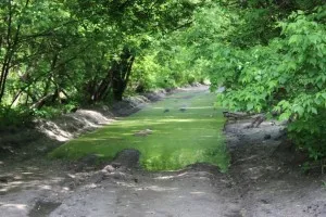 Parcul de Glory partizanilor, pistă de sănătate (15 km)