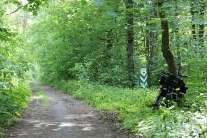 В парка на партизанското Слава, здравето пътека (15 км)