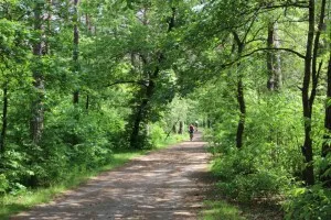 В парка на партизанското Слава, здравето пътека (15 км)