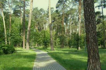 Partizán Glory Park, hova menjen, mit látni, ahol pihenni Kijevben