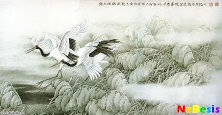 Bazsarózsa feng shui, a kép pionokról a képen a feng shui