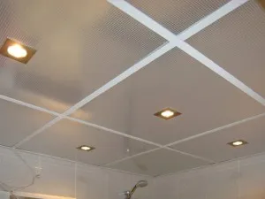 tavan fals în baie cu mâinile lor (foto, video)