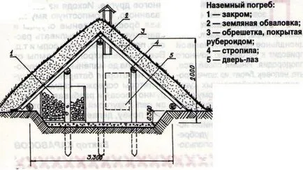 Crama de beton cu mâinile lor specii de beneficii, etapele