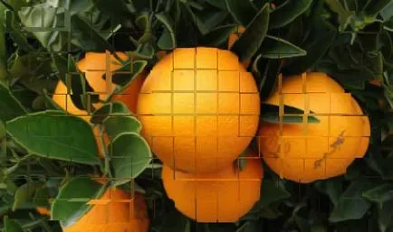A használata narancs és káros az emberi szervezetben