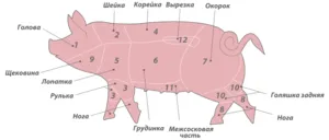 porci tranșare adecvată și mistreț, capete de tăiere și de tăiere de pulpa de porc