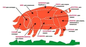 porci tranșare adecvată și mistreț, capete de tăiere și de tăiere de pulpa de porc