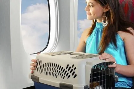 правила за превоз на животни върху самолет, влак и автобус