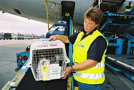 Állatszállító szabályokat a repülővel, vonattal és busszal