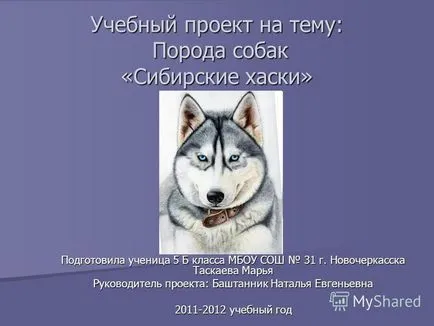 Представяне на проект за обучение на кучета порода - сибирско хъски - готов ученик 5 б