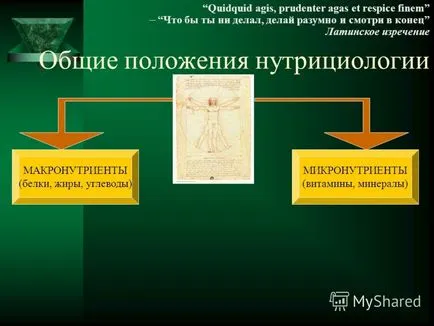 Представяне на клиничното приложение на витамини в стоматология Катедра по клинична фармакология