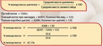 Ceea ce este necesar pentru a măsura producția masei de pui la avicultori