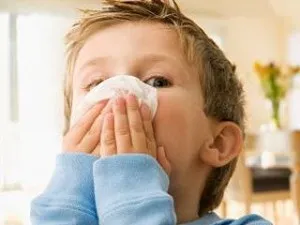 Настинките и алергии - истината за грип