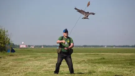 Madarak nincs hely, mint egy munkacsoport a repülés ornitológia Pulkovo