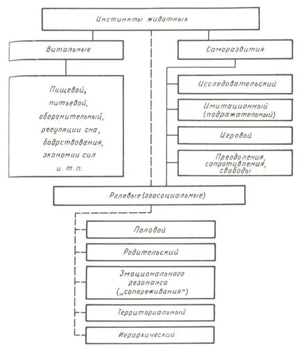 reflexele neconditionate simple și complexe, câine de serviciu, sfaturi novice câine crescător