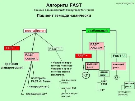 Регионални анестезия по ултразвук - аварийно ултразвук в травма (бързо)