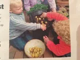 Засаждане на картофи в работна среща градинари кофа група
