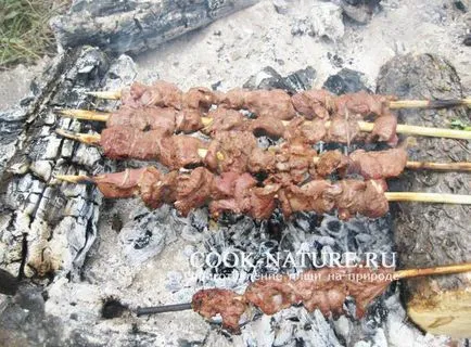 Skewers őz - kész természet