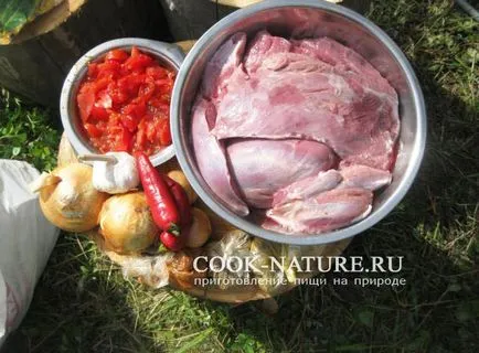 Frigarui de ROE - gata pentru natură