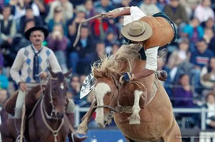 Cowboys versenyeken Dél-Amerikában, fotoshtab - online magazin fotókkal