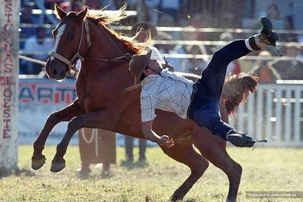 Cowboys versenyeken Dél-Amerikában, fotoshtab - online magazin fotókkal