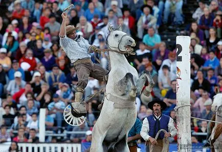 Cowboys versenyeken Dél-Amerikában, fotoshtab - online magazin fotókkal