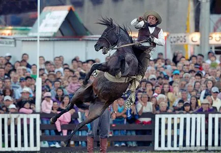 concursuri Cowboys în America de Sud, fotoshtab - revista on-line cu fotografii