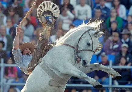 concursuri Cowboys în America de Sud, fotoshtab - revista on-line cu fotografii